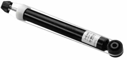 SACHS 315 483