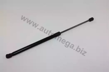 AUTOMEGA 100016210