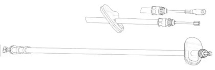 CEF DM02198