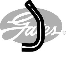 GATES 3212