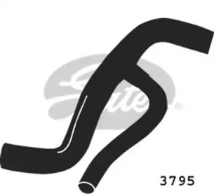 GATES 3795