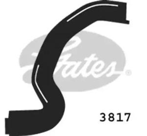 GATES 3817