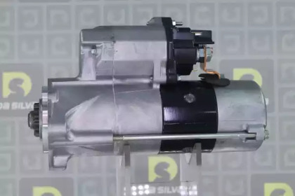 da silva 021110