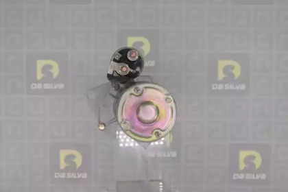 da silva 040110