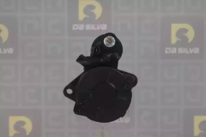 da silva 040310