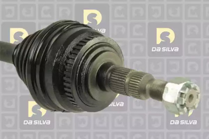 da silva 31204at
