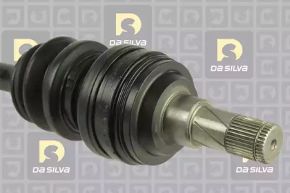 da silva 31204at