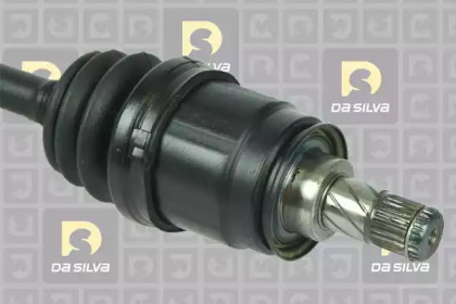 da silva jc96060