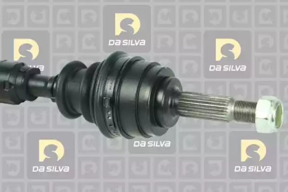 da silva jc96060