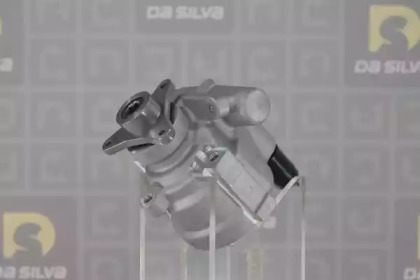 da silva dp2883