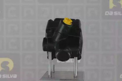 da silva dp2913