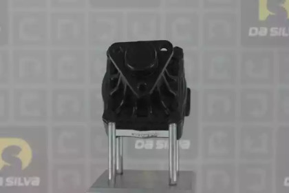 da silva dp2913