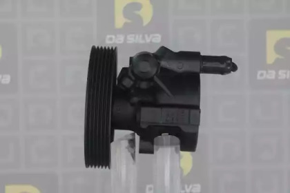 da silva dp2919