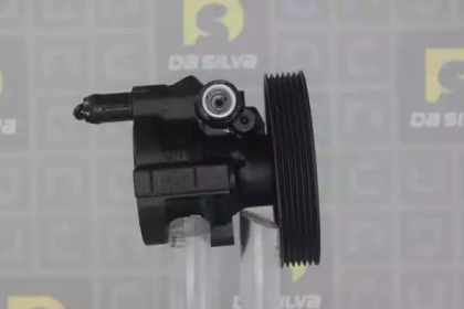 da silva dp2919