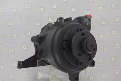 da silva dp3313
