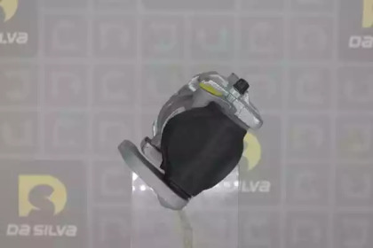 da silva et1011
