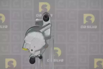 da silva et5401