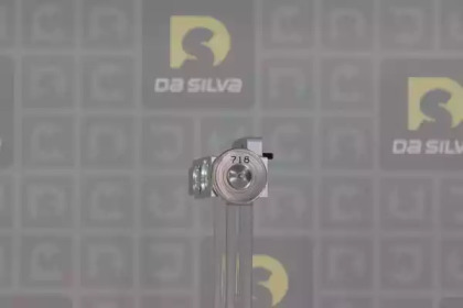 da silva fd1318