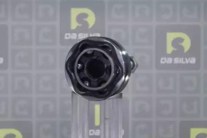 da silva j3094