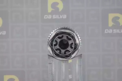 da silva j7848