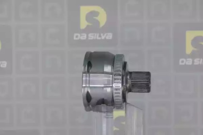 da silva j8948