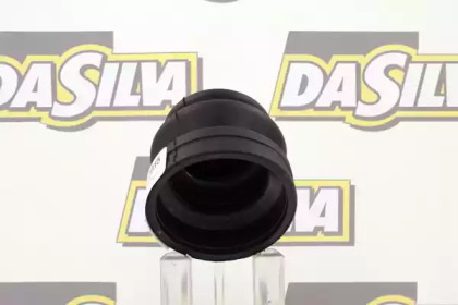 da silva k2015