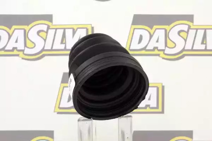 da silva k2016