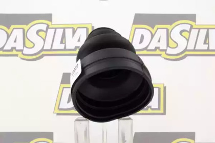 da silva k2020