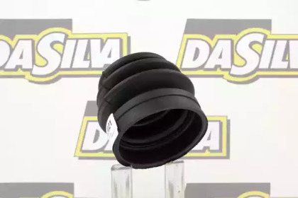 da silva k2021
