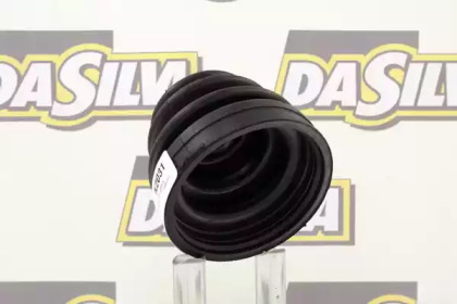 da silva k2031