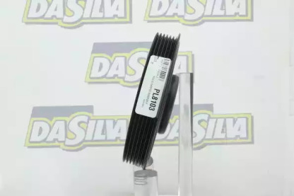 da silva pl8103