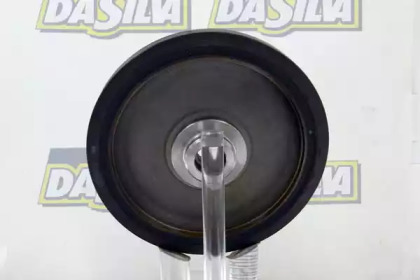 da silva pl8118