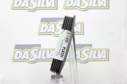 da silva pl8131