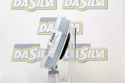 da silva pl8424