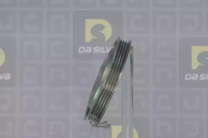 da silva pl8593