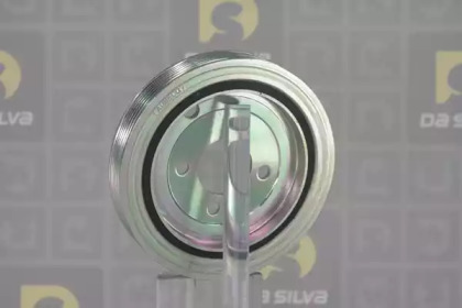 da silva pl8598