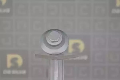 da silva plk014