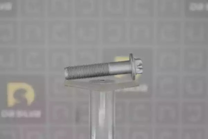 da silva plk036