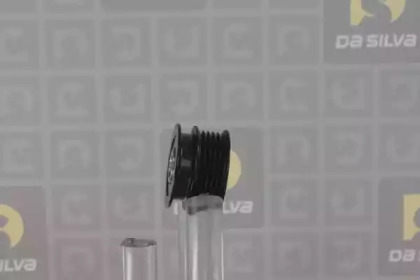 da silva prl093