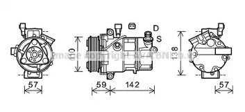 PRASCO ALK127