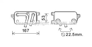 PRASCO BW3396