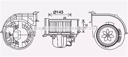 PRASCO BW8574