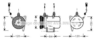 PRASCO BWK045