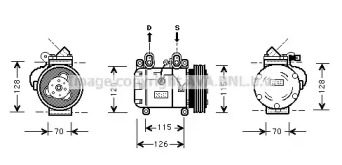 PRASCO BWK051