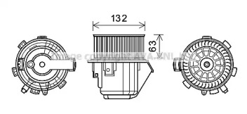 PRASCO CN8298
