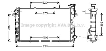 PRASCO CR2081