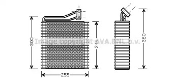 PRASCO CRV040