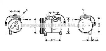 PRASCO DNK004