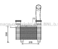 PRASCO DW4094