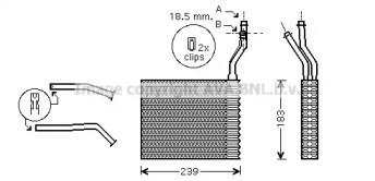 PRASCO FDA6364